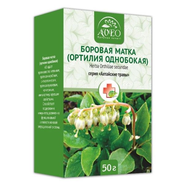 Боровая матка (ортилия однобокая) 50г фотография